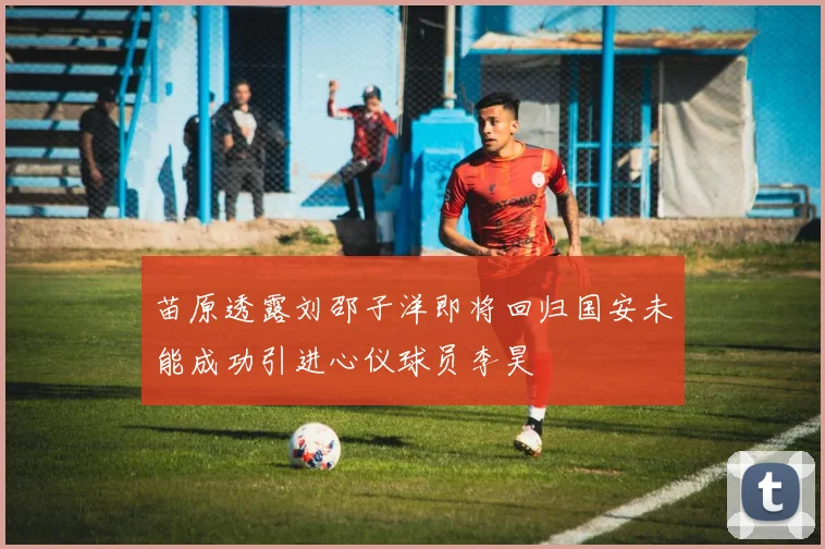苗原透露刘邵子洋即将回归国安未能成功引进心仪球员李昊